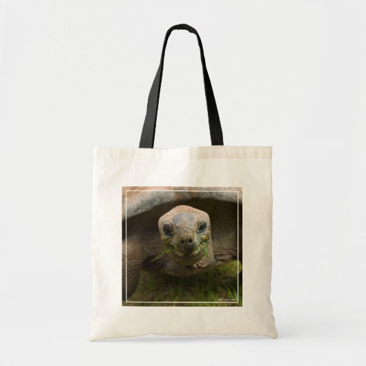 アルダブラ食べ物を与えカメ トートバッグ (正面)