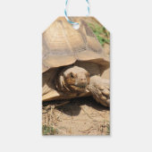 アルダブラ ギフトタグ (正面)