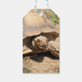 アルダブラ ギフトタグ