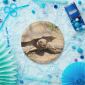 アルダブラ ペーパープレート (パーティー)