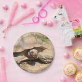 アルダブラ ペーパープレート (パーティー)