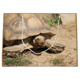 アルダブラ ラージペーパーバッグ