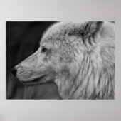 アルティウルフ ポスター (正面)