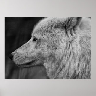 アルティウルフ ポスター