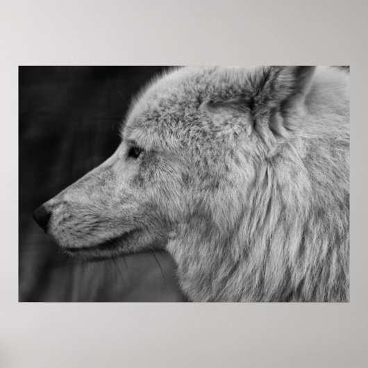 アルティウルフ ポスター (正面)