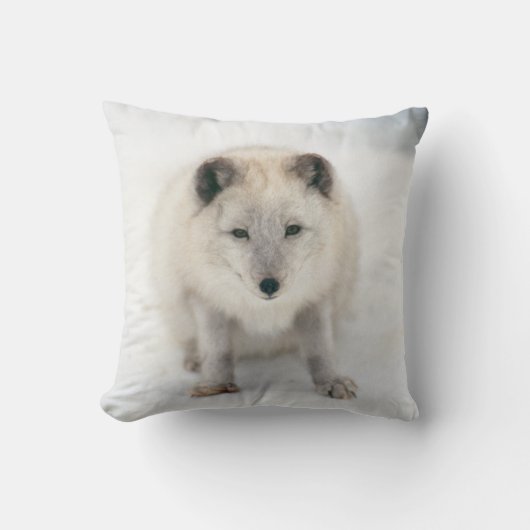 アルティックキツネ クッション (正面)