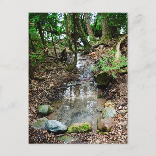 アルテシア春 ポストカード (正面)