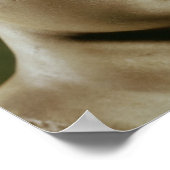 アルテミス岬 ポスター (角)