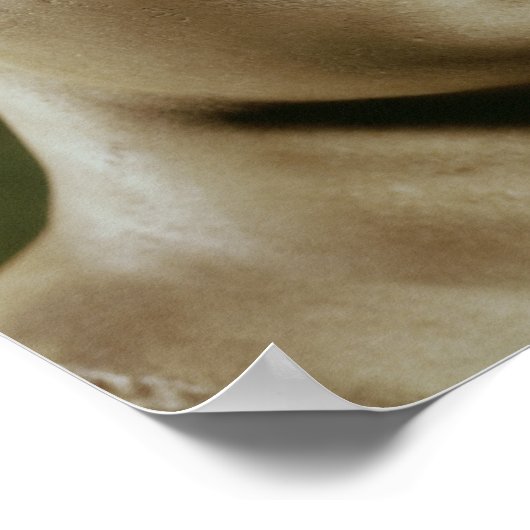 アルテミス岬 ポスター (角)