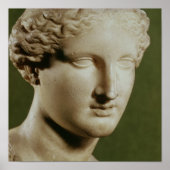 アルテミス岬 ポスター (正面)