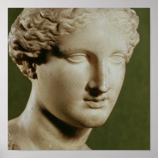 アルテミス岬 ポスター (正面)