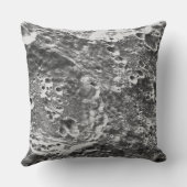 アルテミス1月ミッション月像 クッション (裏面)