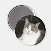 アルテミス マグネット (正面/裏面)