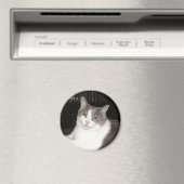 アルテミス マグネット (インサイチュ (食洗機))