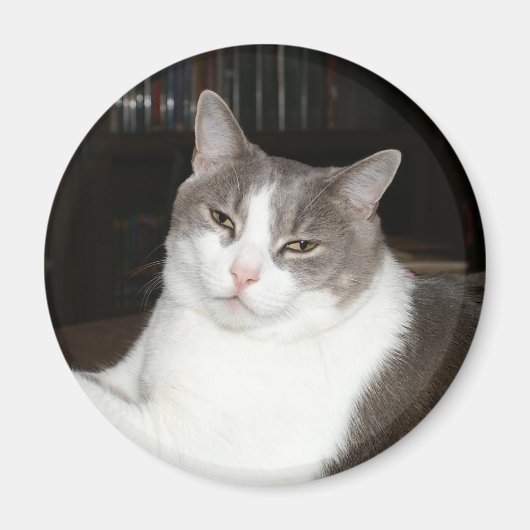 アルテミス マグネット (正面)