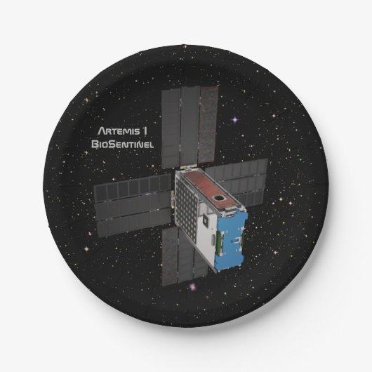 アルテミスBioSentinel CubeSat ペーパープレート (正面)