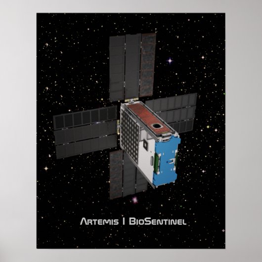 アルテミスBioSentinel CubeSat ポスター (正面)