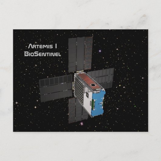 アルテミスBioSentinel CubeSat ポストカード (正面)