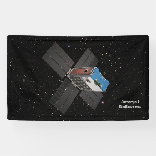 アルテミスBioSentinel CubeSat 横断幕 (横)