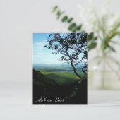 アルトパライソ – ブラジル ポストカード (スタンド正面)