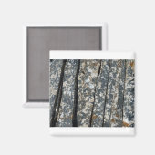 アルドー マグネット (正面/裏面)