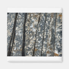 アルドー マグネット