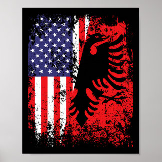 アルニア アメリカ国旗 Tシャツ 愛国 アメリカ アルニア フラ ポスター
