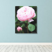 アルニックキャッスルバラ キャンバスプリント (インサイチュ (ウッドフロア))