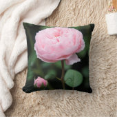 アルニックキャッスルバラ クッション (ブランケット)