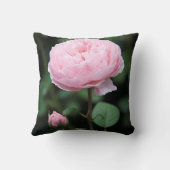 アルニックキャッスルバラ クッション (裏面)