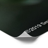 アルニックキャッスルバラ ポスター (角)