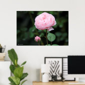 アルニックキャッスルバラ ポスター (ホームオフィス)