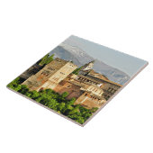 アルハンブラ,グラナダ,アンダルシア,スペイン タイル (側面)