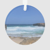 アルバで豪華な波が激突 オーナメント (裏面)