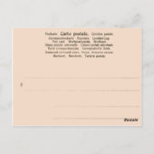 アルバのエッソで働くエクスパツ ポストカード (裏面)