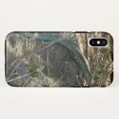アルバのオオトカゲ 熱帯動物の写真 Case-Mate iPhoneケース (裏面(横))