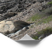 アルバのカリフォルニアライトハウス ポスター (角)