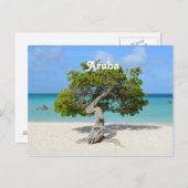 アルバのソロDivi Divi Tree ポストカード (正面/裏面)