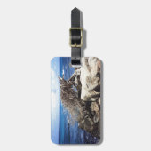 アルバのディヴィディヴィの木と海 ラゲッジタグ (正面縦)