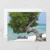 アルバのディヴィ・ディヴィの木 ポストカード (正面/裏面)