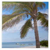 アルバのビーチのヤシの木 タイル (正面)