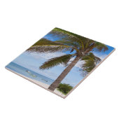 アルバのビーチのヤシの木 タイル (側面)