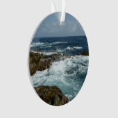 アルバのロッキーコーストとブルー海 オーナメント (正面)