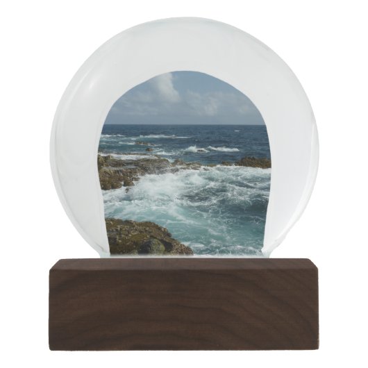 アルバのロッキーコーストとブルー海 スノーグローブ (正面)