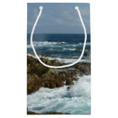 アルバのロッキーコーストとブルー海 スモールペーパーバッグ (裏面)