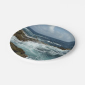 アルバのロッキーコーストとブルー海 ペーパープレート (アングル)