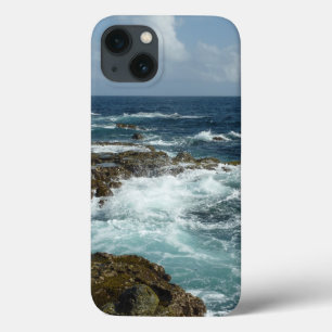 アルバのロッキーコーストとブルー海 iPhone 13ケース