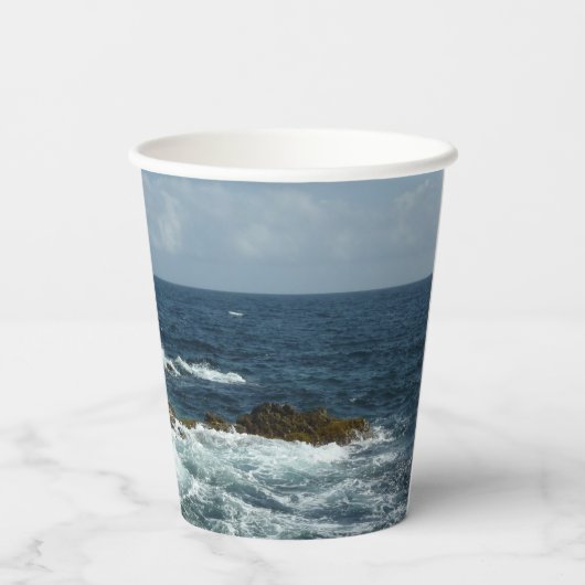 アルバのロッキー海岸 紙コップ (裏面)