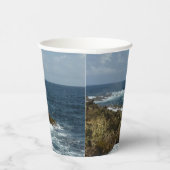 アルバのロッキー海岸 紙コップ (右)