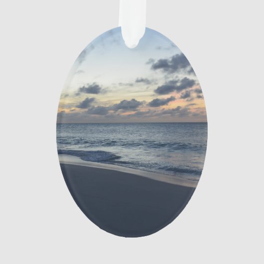 アルバの完全さ オーナメント (裏面)